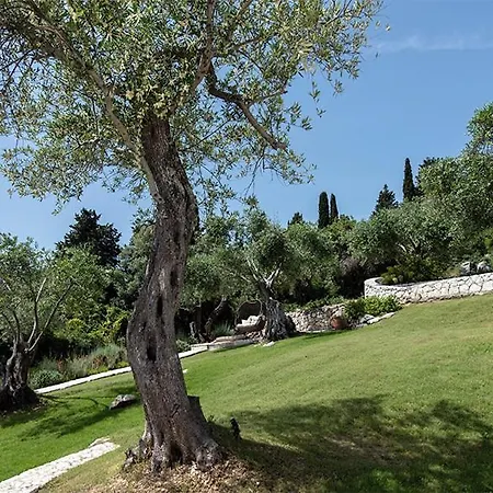 Thea Lofou * Κασσιόπη